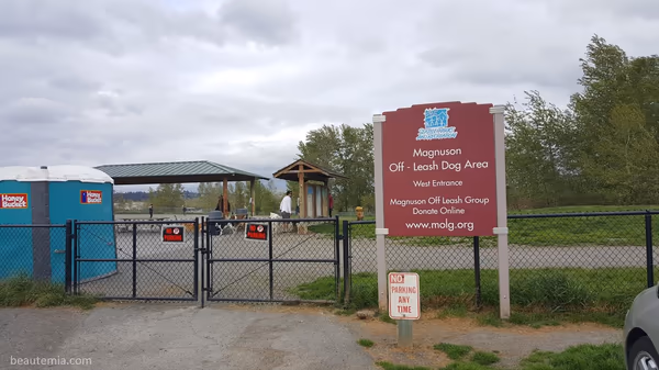 Warren G. Magnuson Park Off-Leash Dog Area photo 2